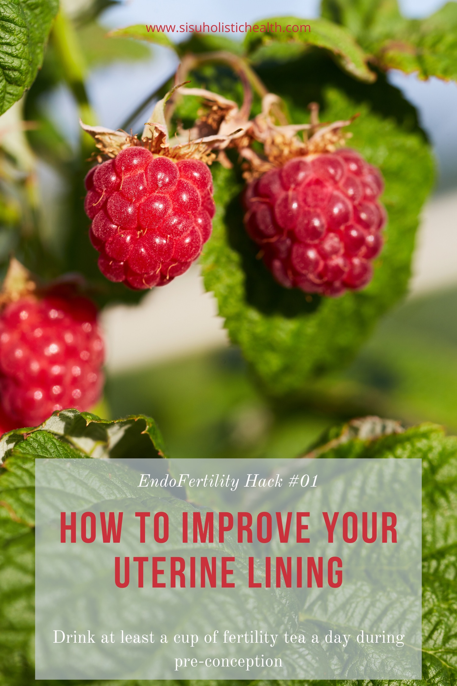 How to Make Herbal Fertility Tea The Endo Fertility Specialist